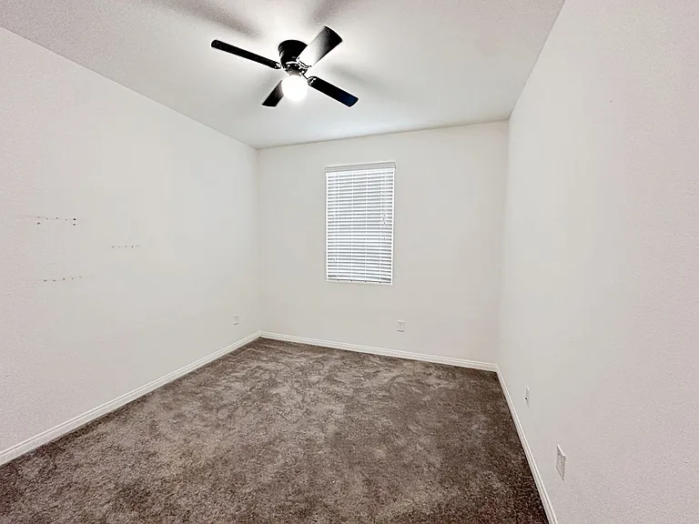 663 Foam Flower Ln — Photo 18