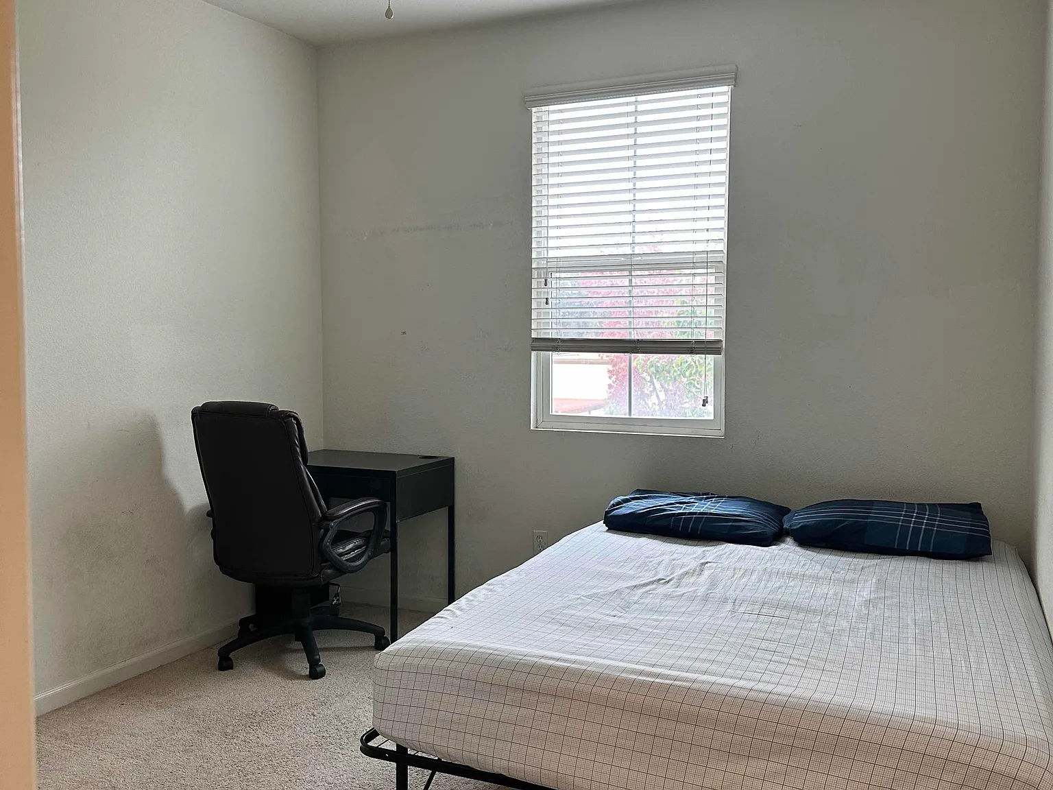 1 bed, $1,695 — Photo 3