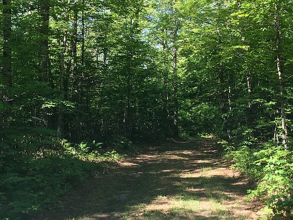 Your own private 9 acres.