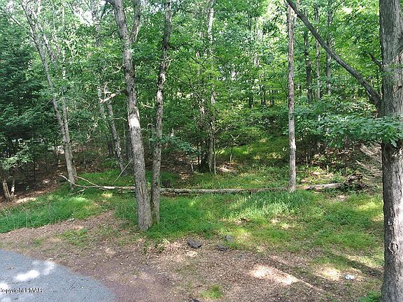 2nd image of 110 Stowe Ct
