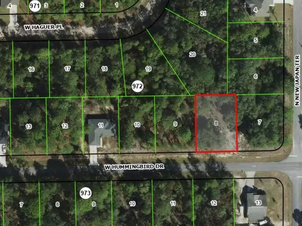 685 W Hummingbird Dr, Citrus Springs, FL 34434