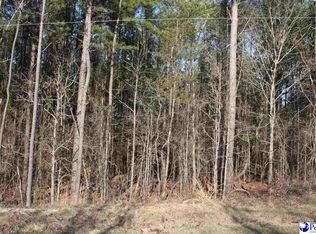 Calhoun Hills Rd, Gaston, SC 29053