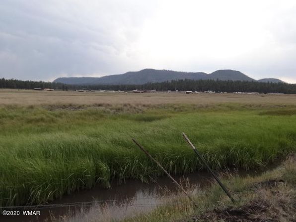 LOT-24A The Rnch #AT, Alpine, AZ 85920