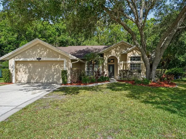 3319 Laurelwood Ct, Tarpon Springs, FL 34688