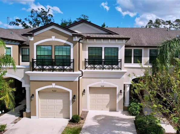 9224 Fox Sparrow Rd, Tampa, FL 33626