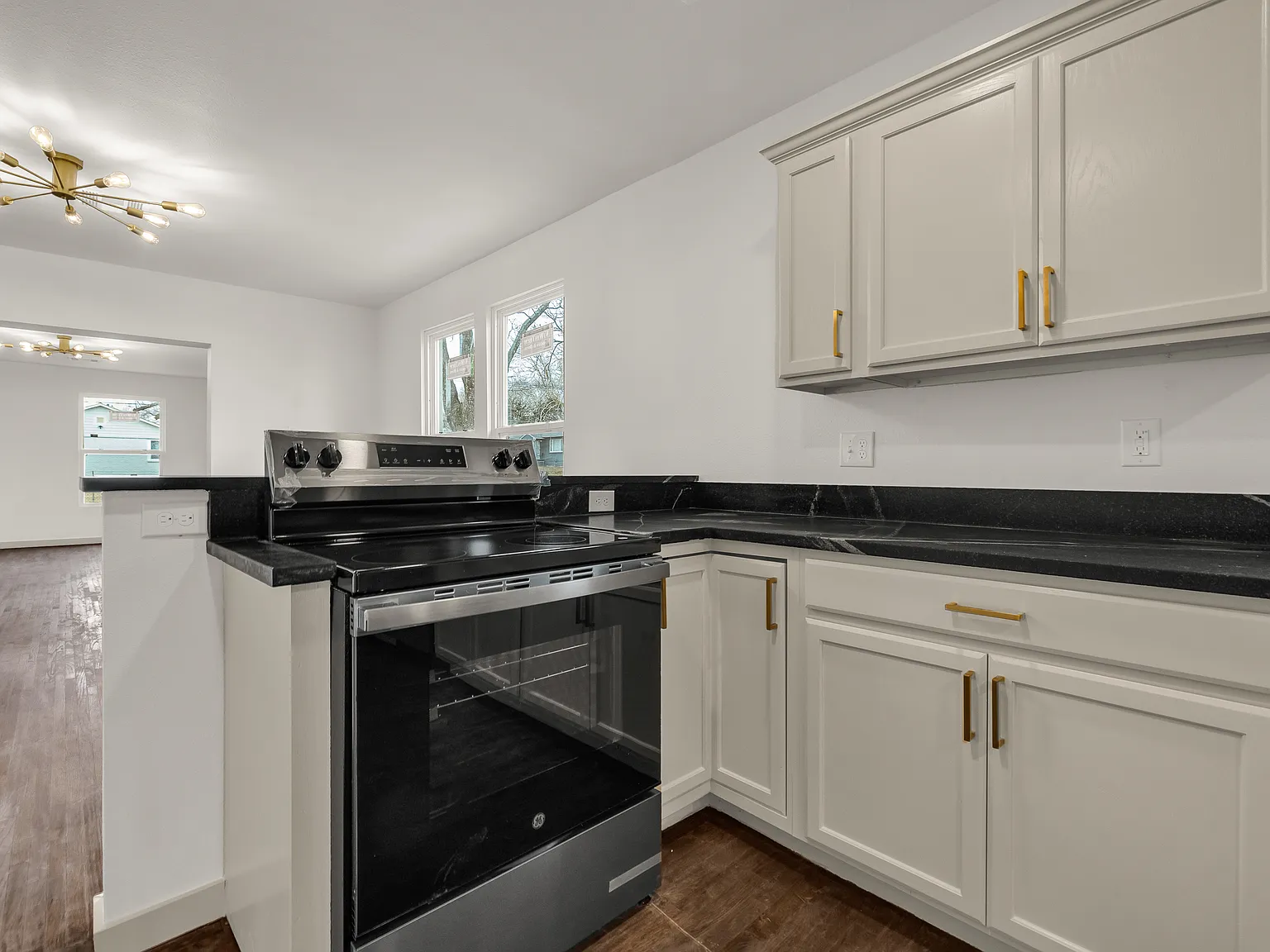1017 West Newton Street - 1 — Photo 4