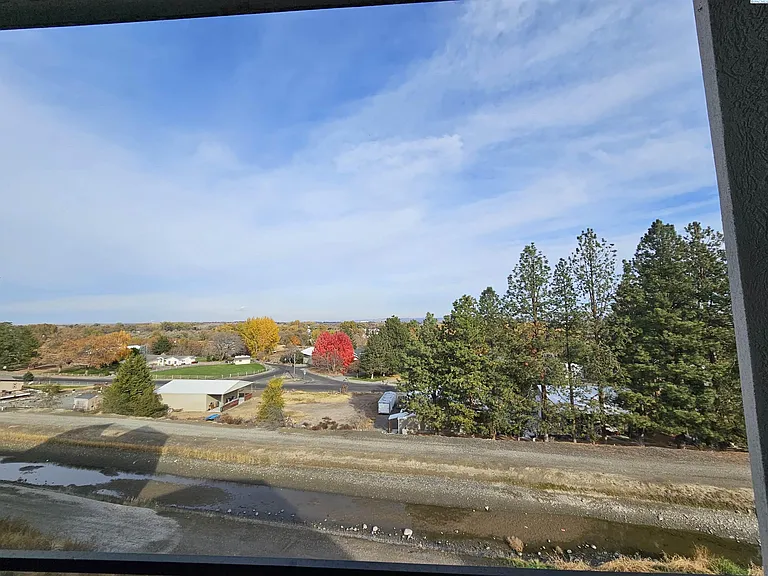 3202 Bing St — Photo 45