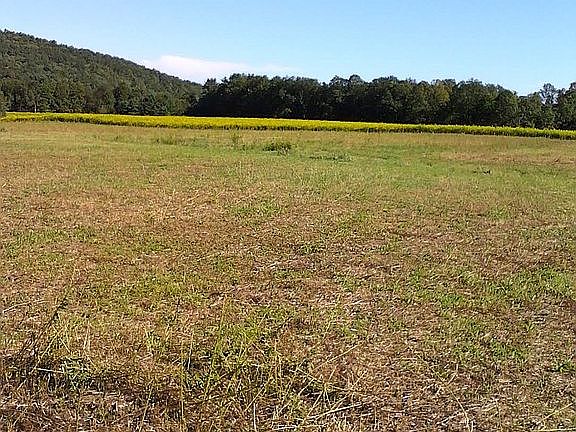 3rd image of 1090 State Highway 41