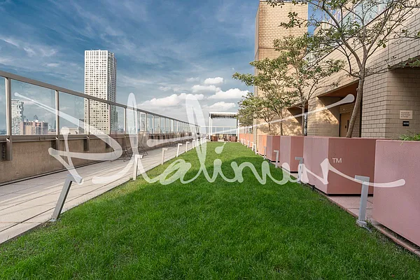 Rented by Platinum Properties | media 17