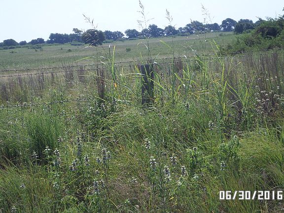 3rd image of 12855 S Highway 76