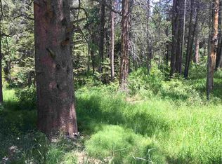 779 Minaret Rd, June Lake, CA 93529