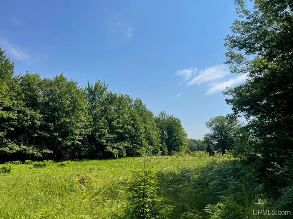 Tbd5d Lower Pike River Rd, Chassell, MI 49916