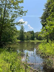47 Betty Ln, Olivehill, TN, 38475