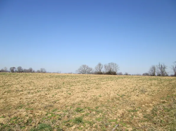 741 Brooksville Germantown Rd Parcel 2, Brooksville, KY 41004