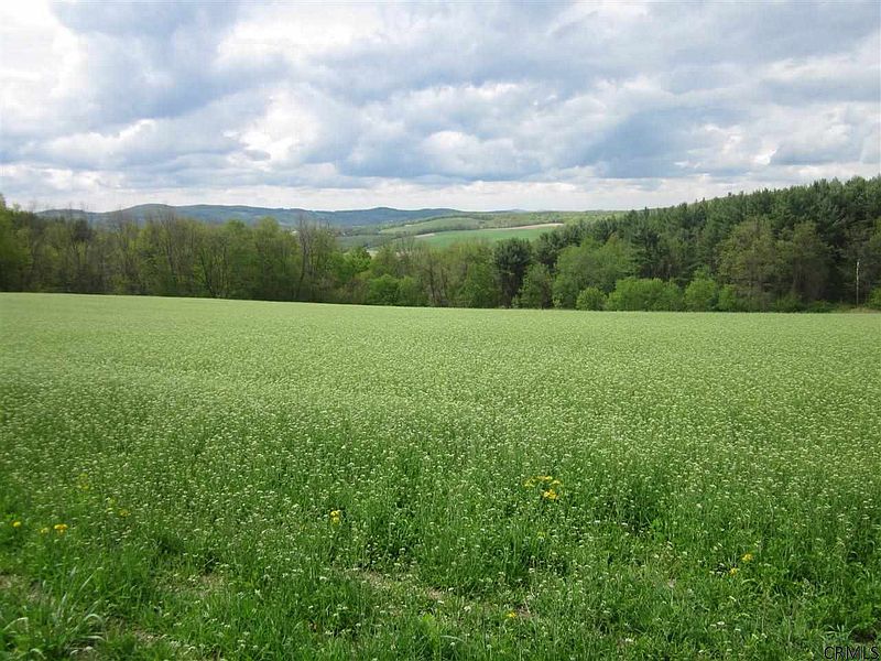 2nd image of 0 BREESE HOLLOW Road