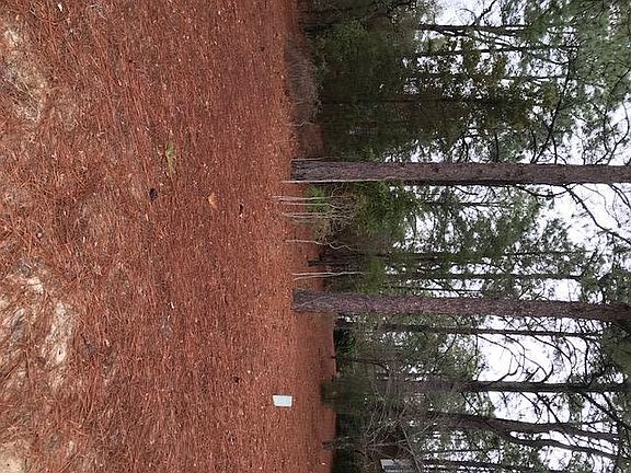 3rd image of 10 W Quail Lake Road LOT 101