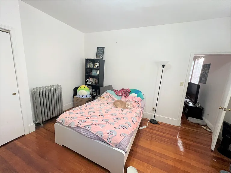 163 Strathmore Rd #3 — Photo 17