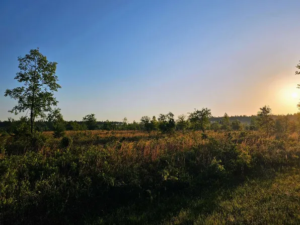 0 SE County Road 255, Lee, FL 32059