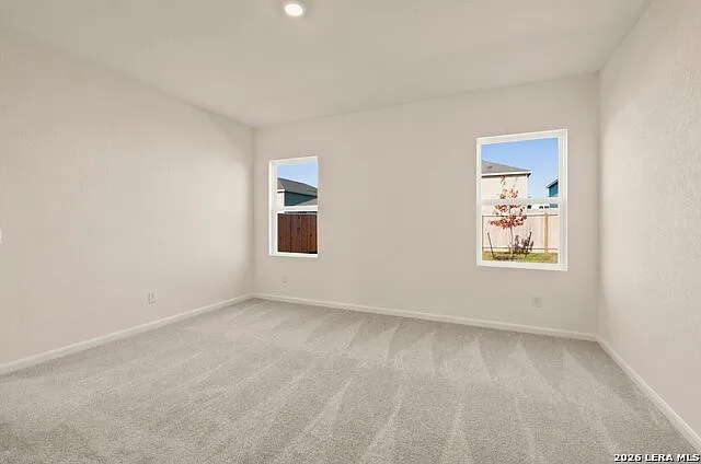 1117 King Eider — Photo 13