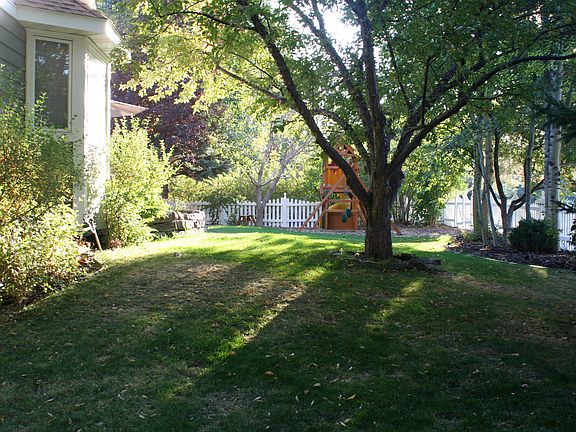 Back Yard (late summer)
