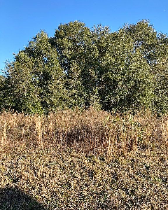Front of property from road 
