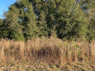 0 Split Stone Dr, Webster, FL 33597
