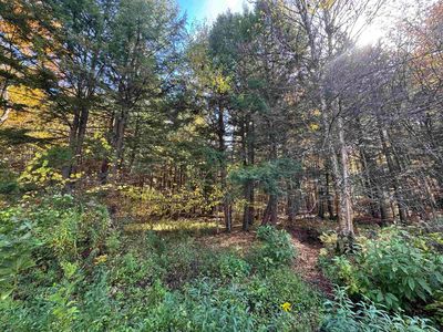 0 Green Hill Lane, Wallingford, VT, 05773