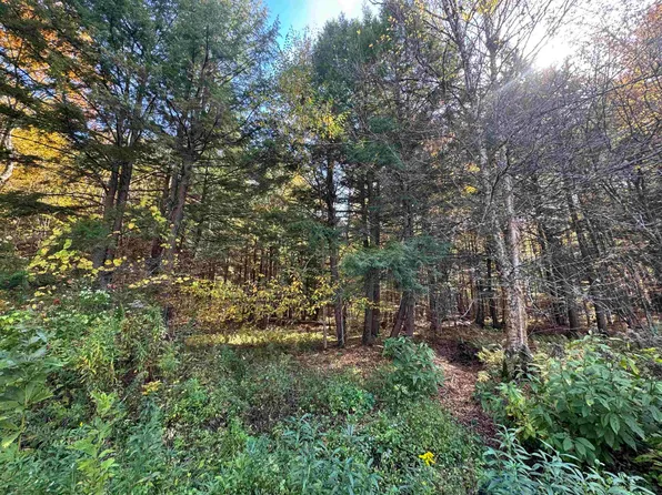 0 Green Hill Lane, Wallingford, VT 05773