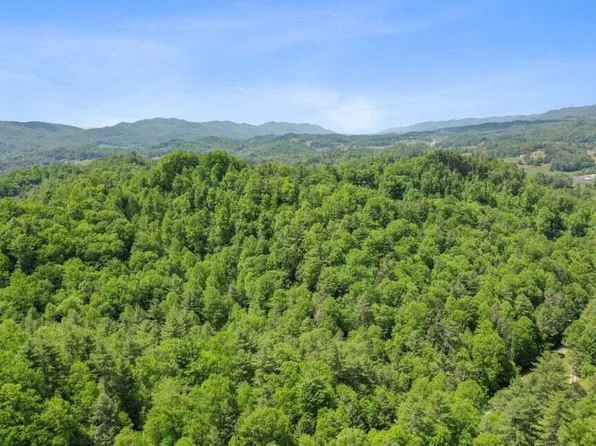 Speedwell Ln, Bulls Gap, TN 37711