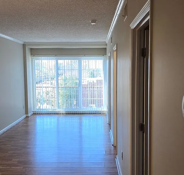 2009 Greene St #513 — Photo 7