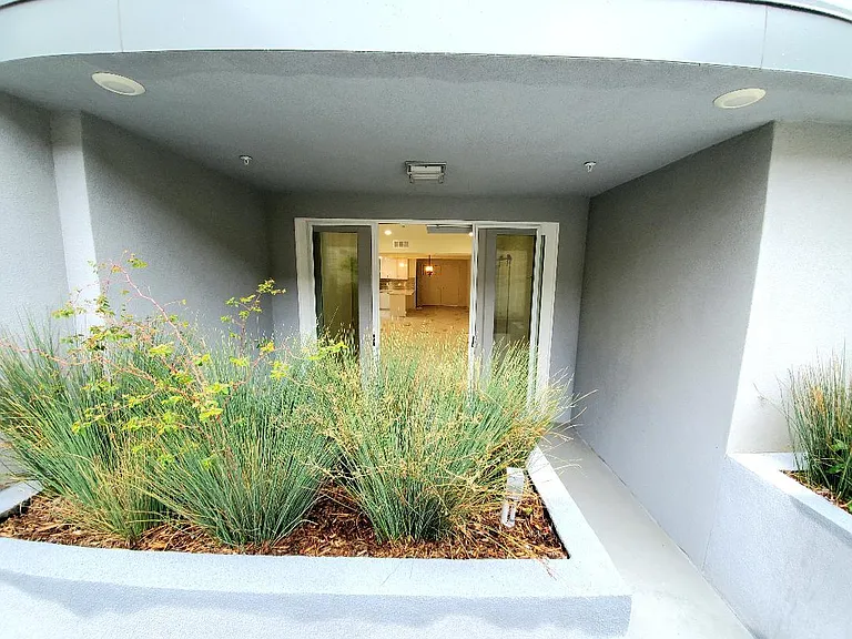 Back patio