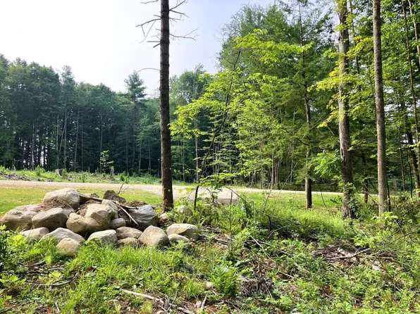Lot 5 Fern Lake Road, Leicester, VT 05733