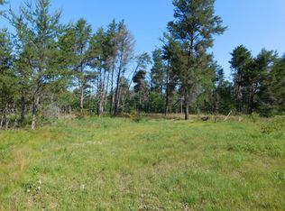 7534 Lovells Rd, Grayling, MI 49738