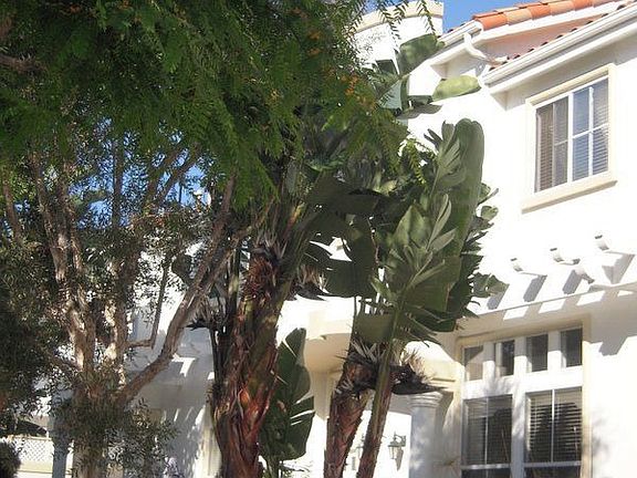 4th image of 1340 El Prado Ave Unit 3