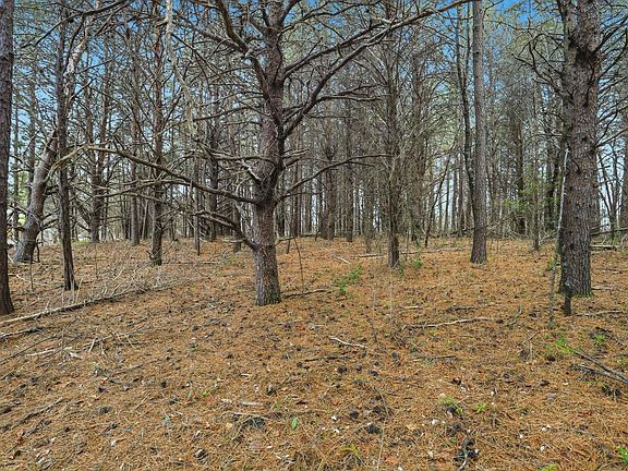 2nd image of 0 Hulon Howard Rd