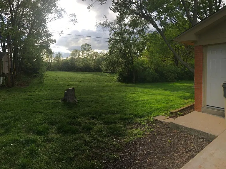Patio view