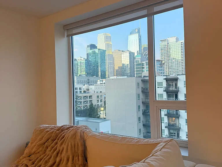 1050 S Grand Ave #810 — Photo 11