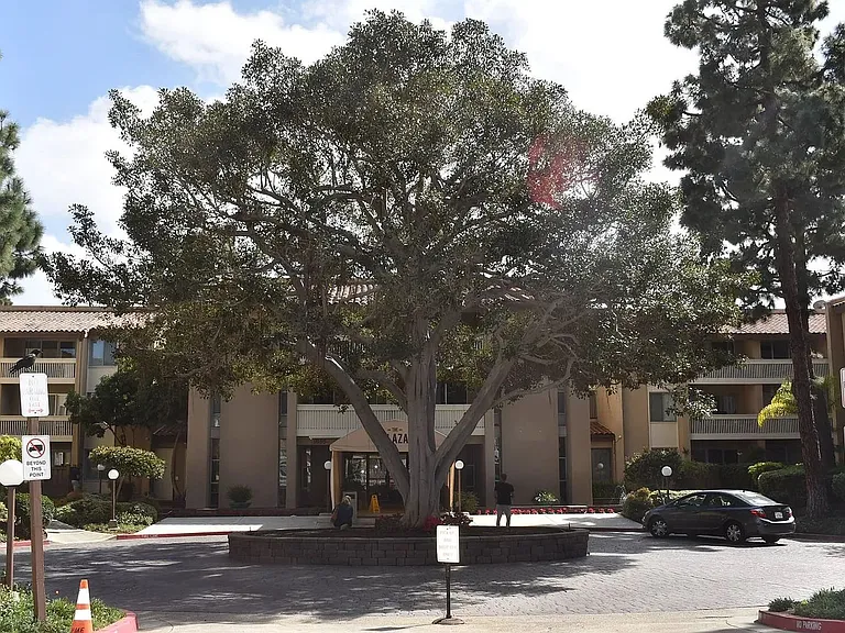 1885 Diamond St #230 — Photo 19