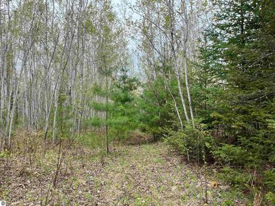 0 Lund Rd, Fife Lake, MI, 49633