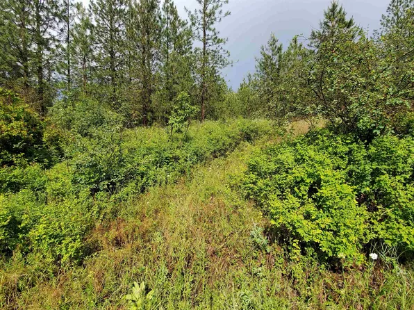 (undisclosed Address), Spangle, WA 99031