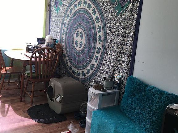 2nd image of 1700 Clinch Ave APT 419