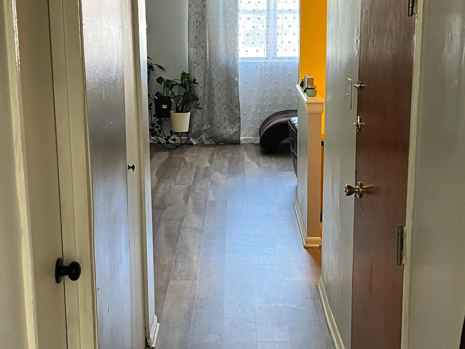 7020 Lark Pl — Photo 3