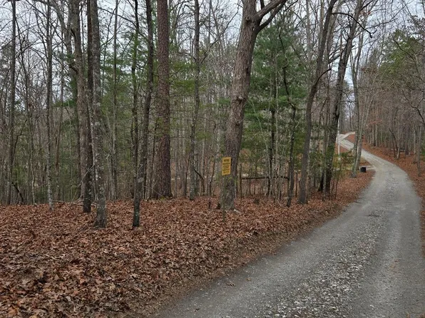 8.5 Blue Berry Rdg, Morganton, GA 30560