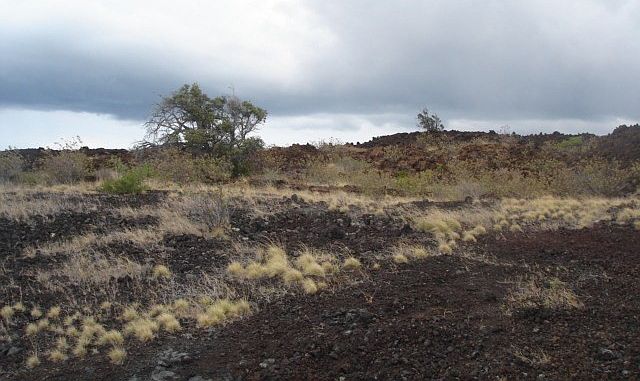 1st image of Prince Kuhio Blvd Lot 5