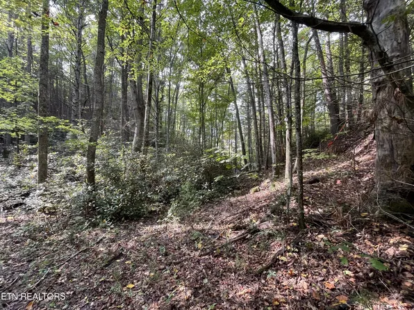 16 Steer Creek Rd Lot 16, Tellico Plains, TN 37385