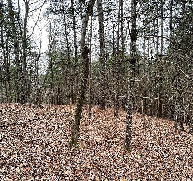 1st image of LOT 62 Black Bear Trl