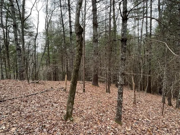 LOT 62 Black Bear Trl, Bryson City, NC 28713