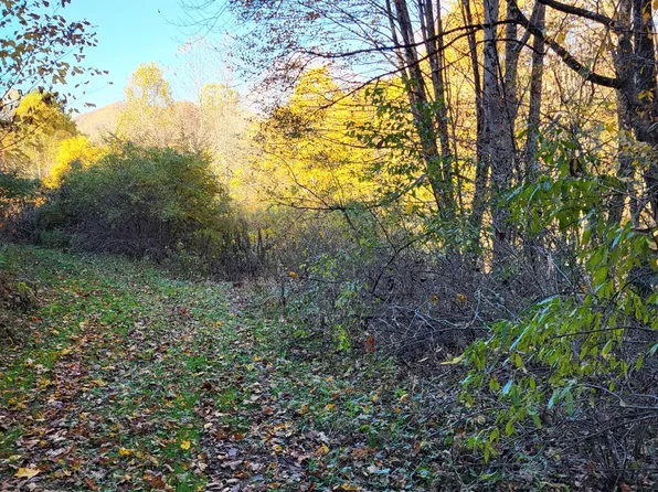 37755 Chestnut Mountain Rd, Damascus, VA 24236
