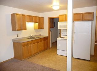 313 Playhouse St E APT 3, Cologne, MN 55322
