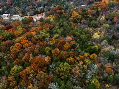 Highway 92, Rutledge, TN, 37861